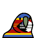 parrot eswatini