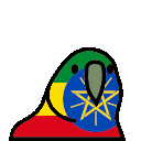 parrot ethiopia