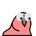 parrot eyes