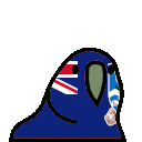 parrot falklandislands