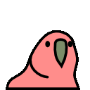 parrot fast