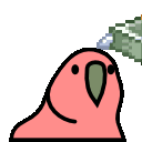 parrot flying money