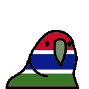 parrot gambia