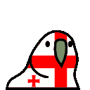 parrot georgia