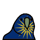 parrot greekmacedonia