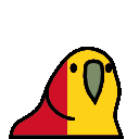 parrot guinea