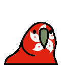 parrot hongkong