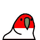 parrot indonesia