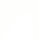 parrot invisible