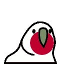 parrot japan
