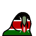 parrot kenya