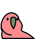 parrot levitation