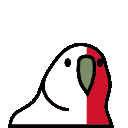 parrot malta