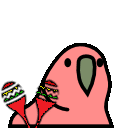parrot maracas