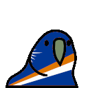 parrot marshallislands
