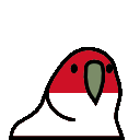 parrot monaco