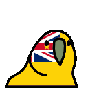 parrot niue
