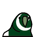 parrot pakistan