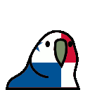 parrot panama