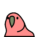 parrot reverse
