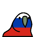 parrot russia