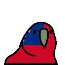 parrot samoa
