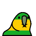 parrot saotomeandprincipe