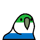 parrot sierraleone