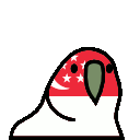 parrot singapore