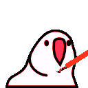 parrot sith
