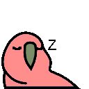 parrot sleeping