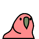 parrot slow