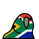 parrot southafrica