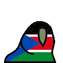 parrot southsudan