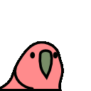 parrot stable