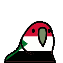 parrot sudan