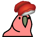 parrot sushi