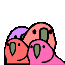 parrot swarm