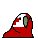 parrot tonga