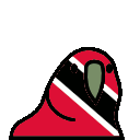 parrot trinidadandtobago