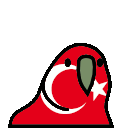 parrot turkey