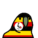 parrot uganda