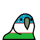 parrot uzbekistan