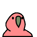 parrot vertical