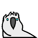 parrot whitewalker