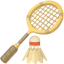 party badminton racquet and shuttlecock