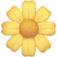 party blossom