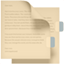 party bookmark tabs