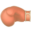 party boxing glove