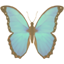 party butterfly